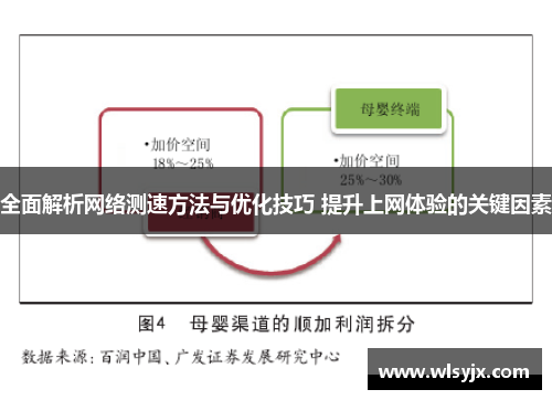 全面解析网络测速方法与优化技巧 提升上网体验的关键因素