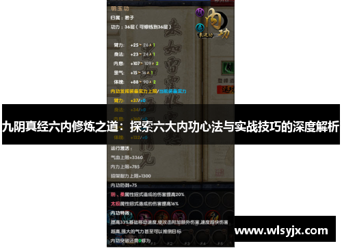 九阴真经六内修炼之道：探索六大内功心法与实战技巧的深度解析
